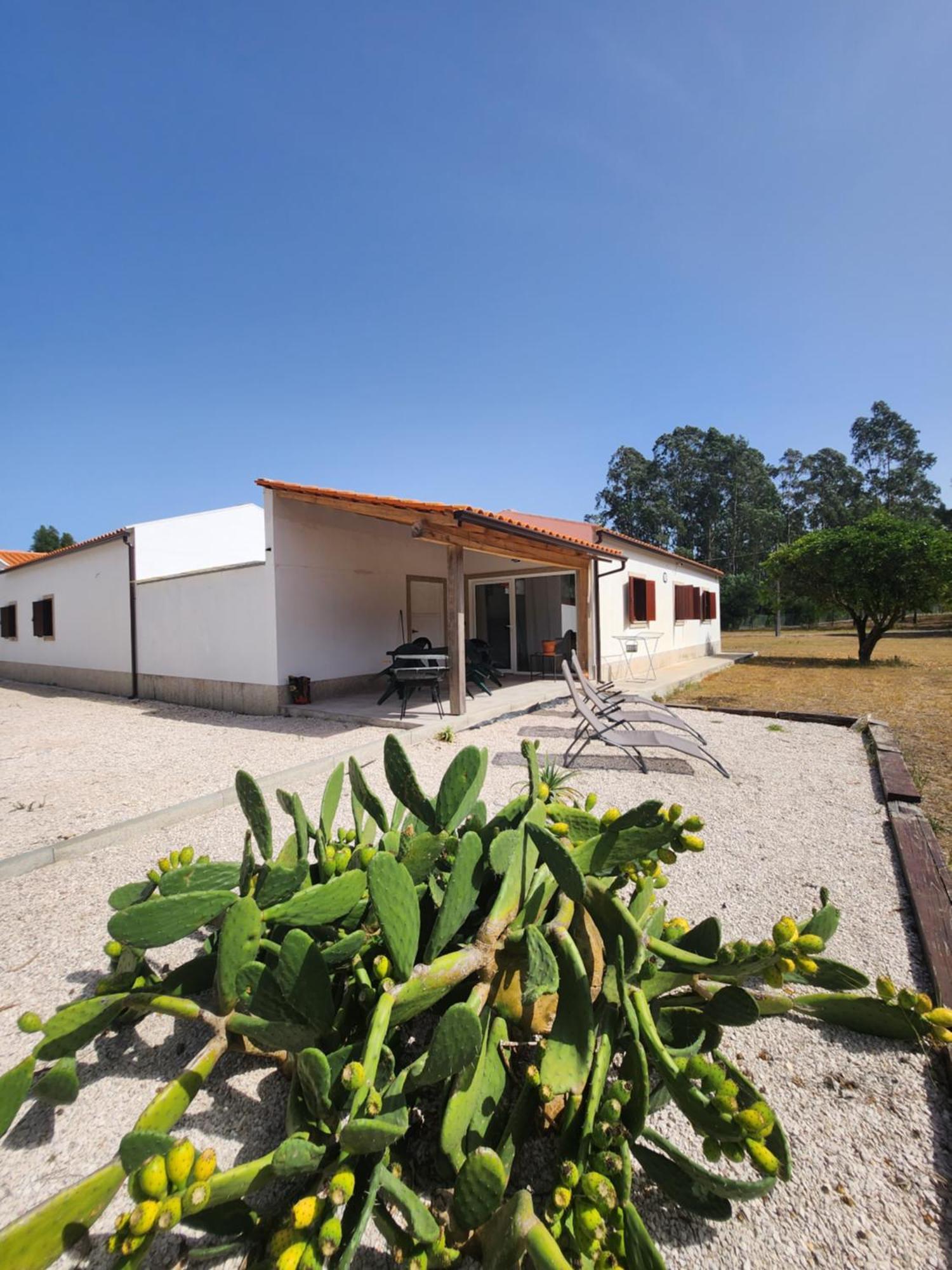 Quinta Das Camarinhas Cantanhede Kültér fotó